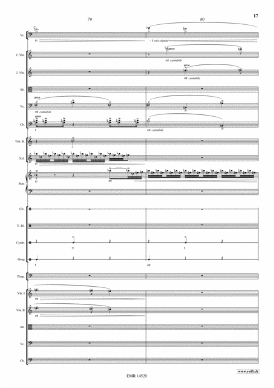 Concerto Mystique Percussion Ensemble scores gallery preview page 17