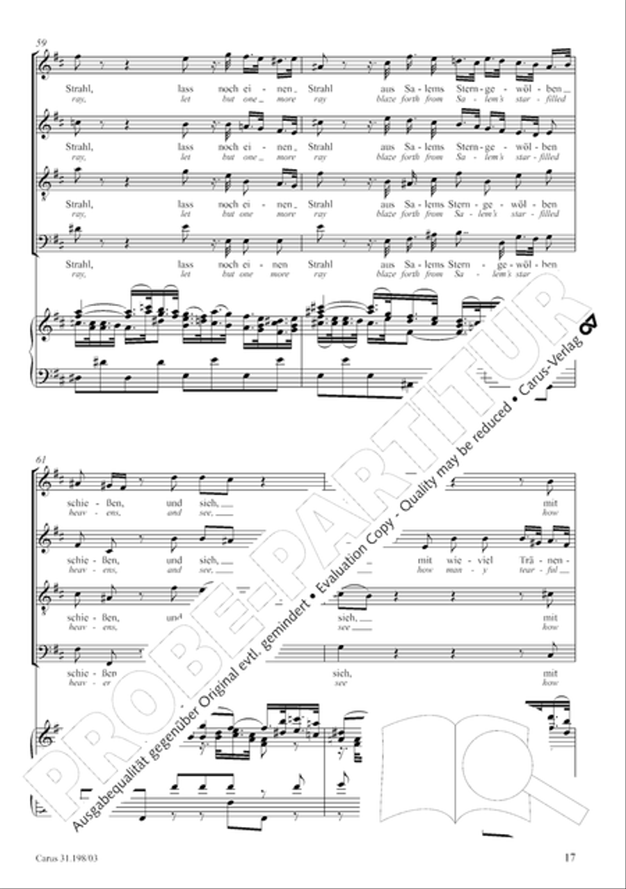 Let, Princess, let but one more ray (Lass, Furstin, lass noch einen Strahl) 4-Part scores gallery preview page 18