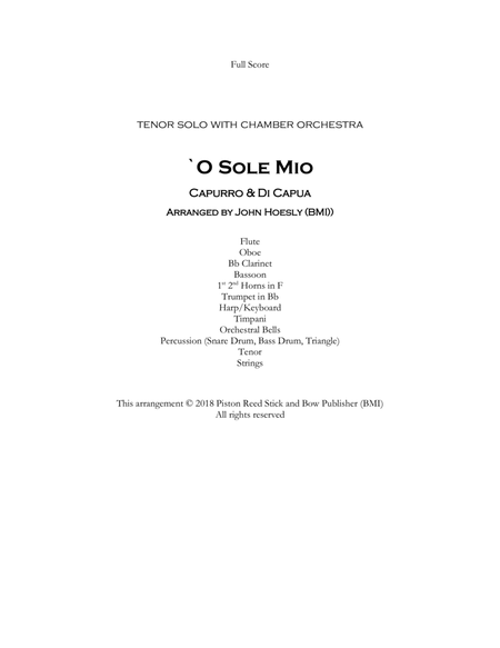 O SOLE MIÒ- Tenor solo with chamber orchestra image number null