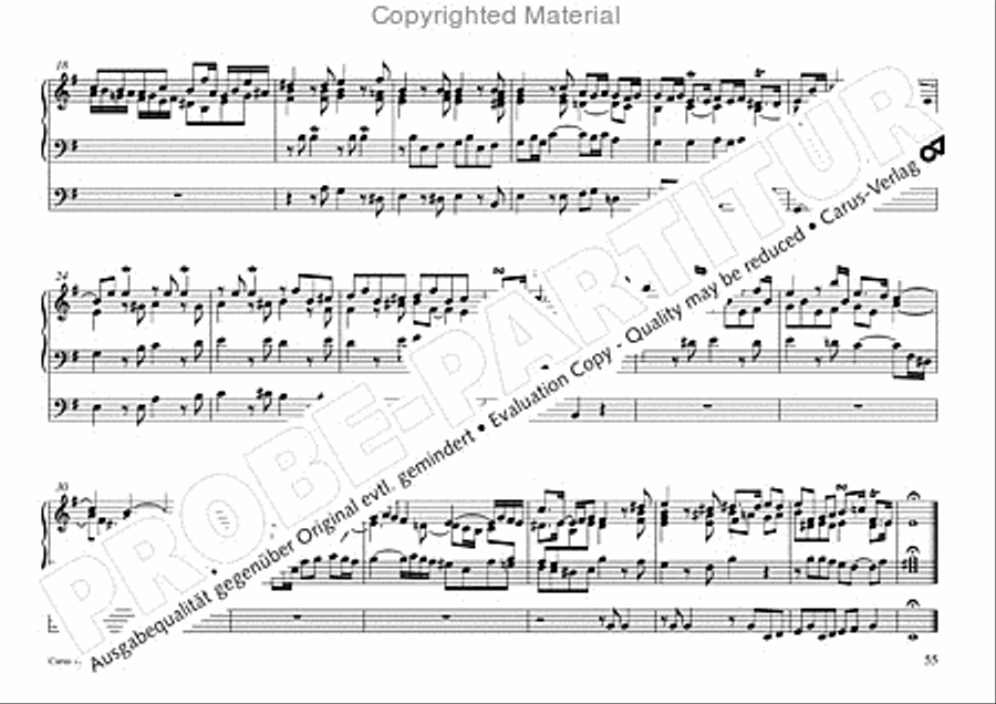 Freiburger Orgelbuch: Stammteil Organ Solo scores gallery preview page 56