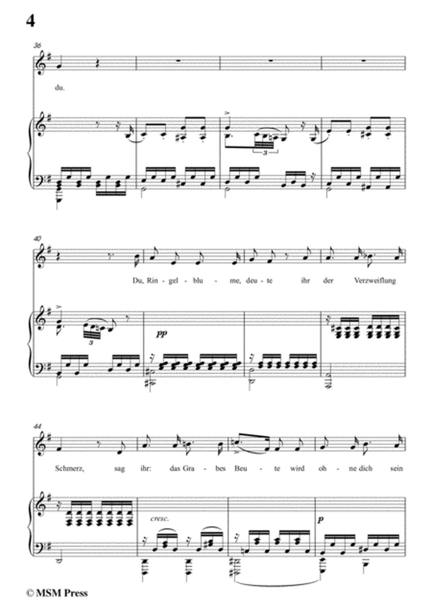 Schubert-Der Blumenbrief,in G Major,for Voice&Piano image number null