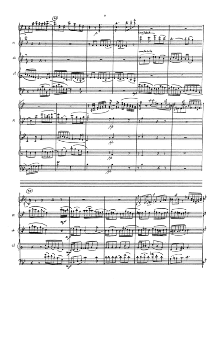 Quintet for Marimba and Winds Bassoon scores gallery preview page 5