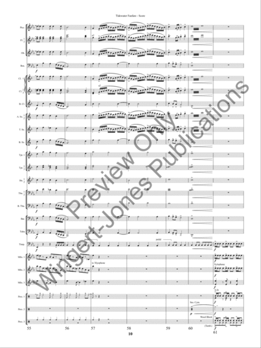 Tidewater Fanfre (Score) Concert Band scores gallery preview page 13