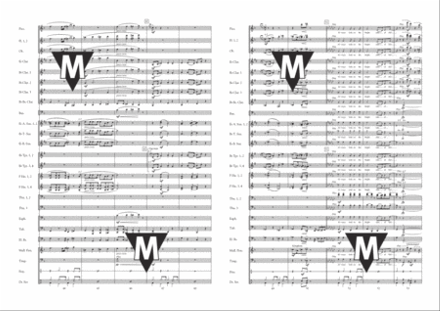 Always Look on The Bright Side of Life Concert Band scores gallery preview page 6