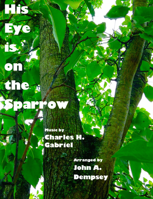 Book cover for His Eye Is on the Sparrow (Piano Solo)