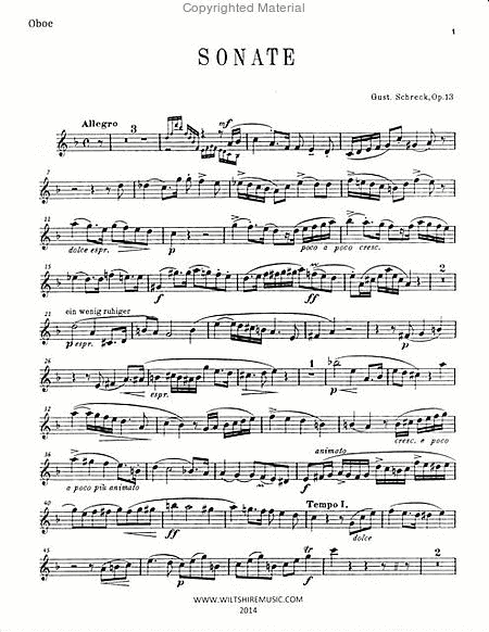 Sonate, Op.13