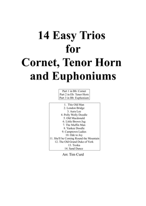 Book cover for 14 Easy Trios For Cornet, Tenor Horn And Euphonium