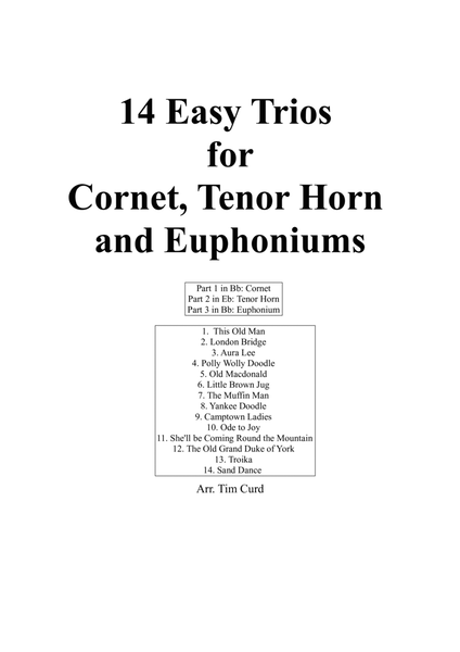 14 Easy Trios For Cornet, Tenor Horn And Euphonium image number null