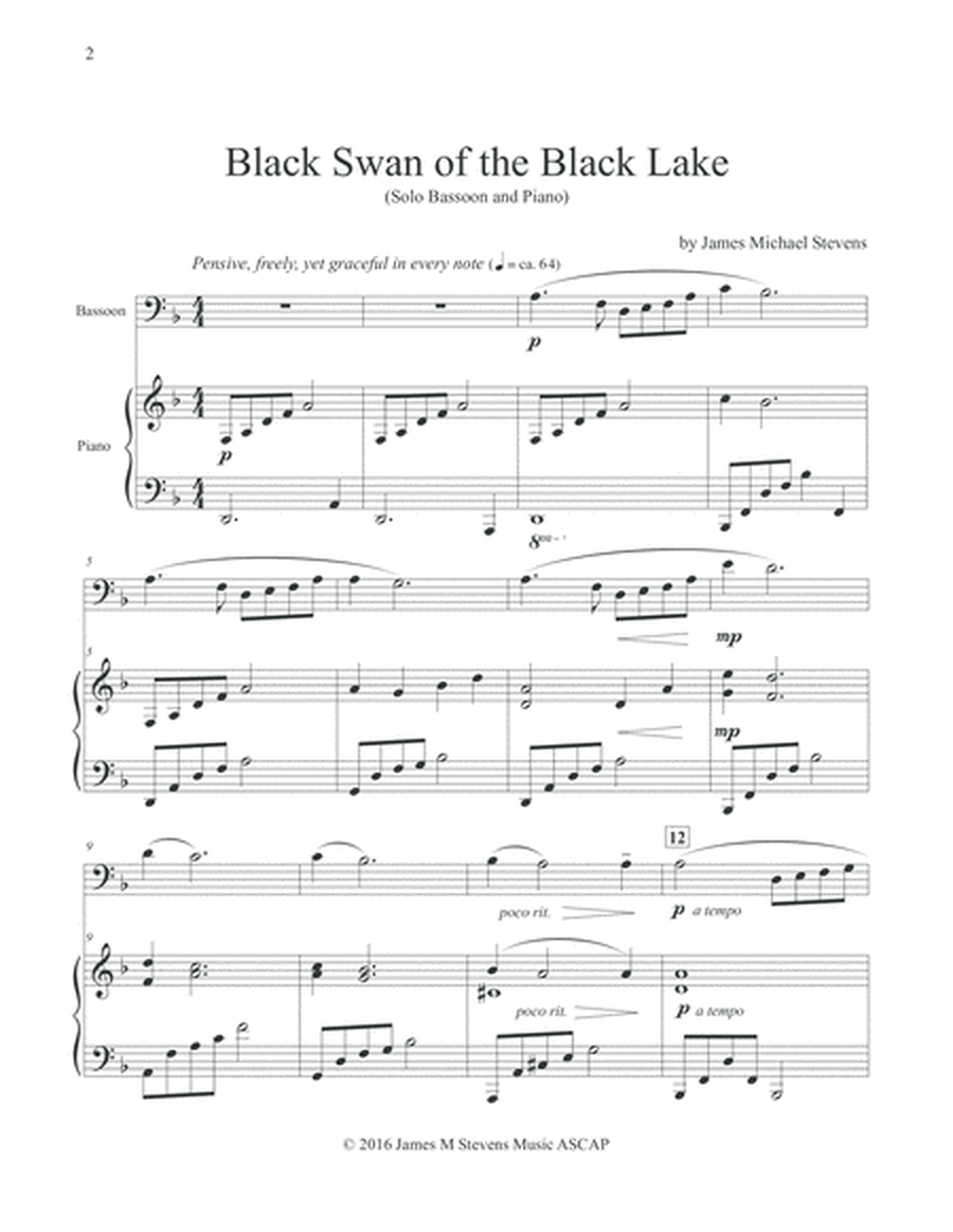 Black Swan of the Black Lake - Solo Bassoon & Piano image number null