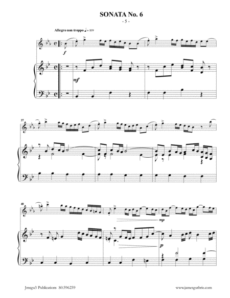 Vivaldi: Sonata No. 6 for Alto Flute & Piano image number null