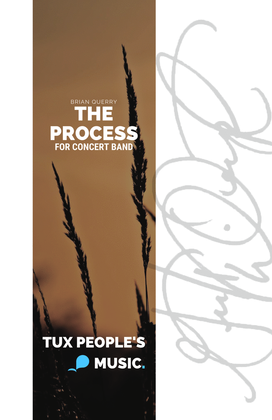 Book cover for The Process