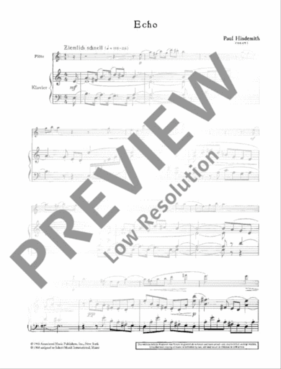 Echo Flute Solo scores gallery preview page 3