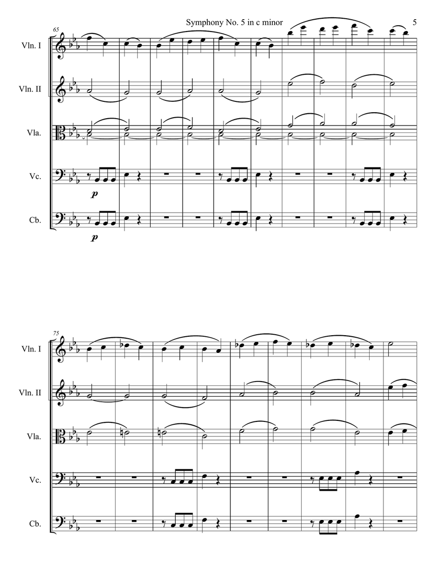 Symphony No. 5 in c minor, Movement 1 String Orchestra scores gallery preview page 5