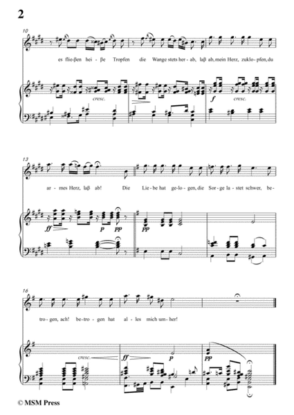 Schubert-Die Liebe hat gelogen,in e minor,Op.23,No.1,for Voice and Piano image number null