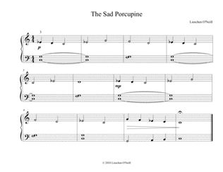 The Sad Porcupine