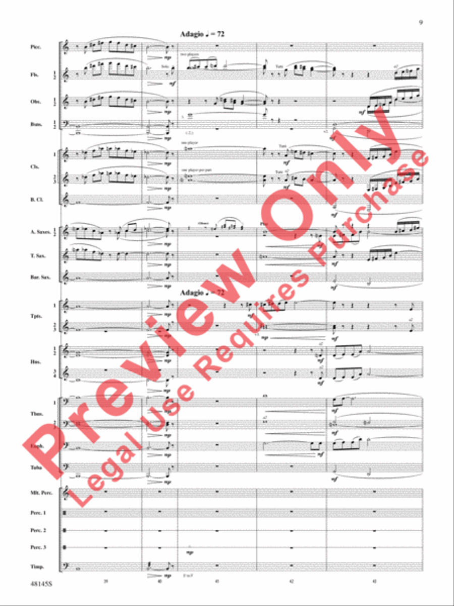 The River Seneca The River Seneca Concert Band scores gallery preview page 10