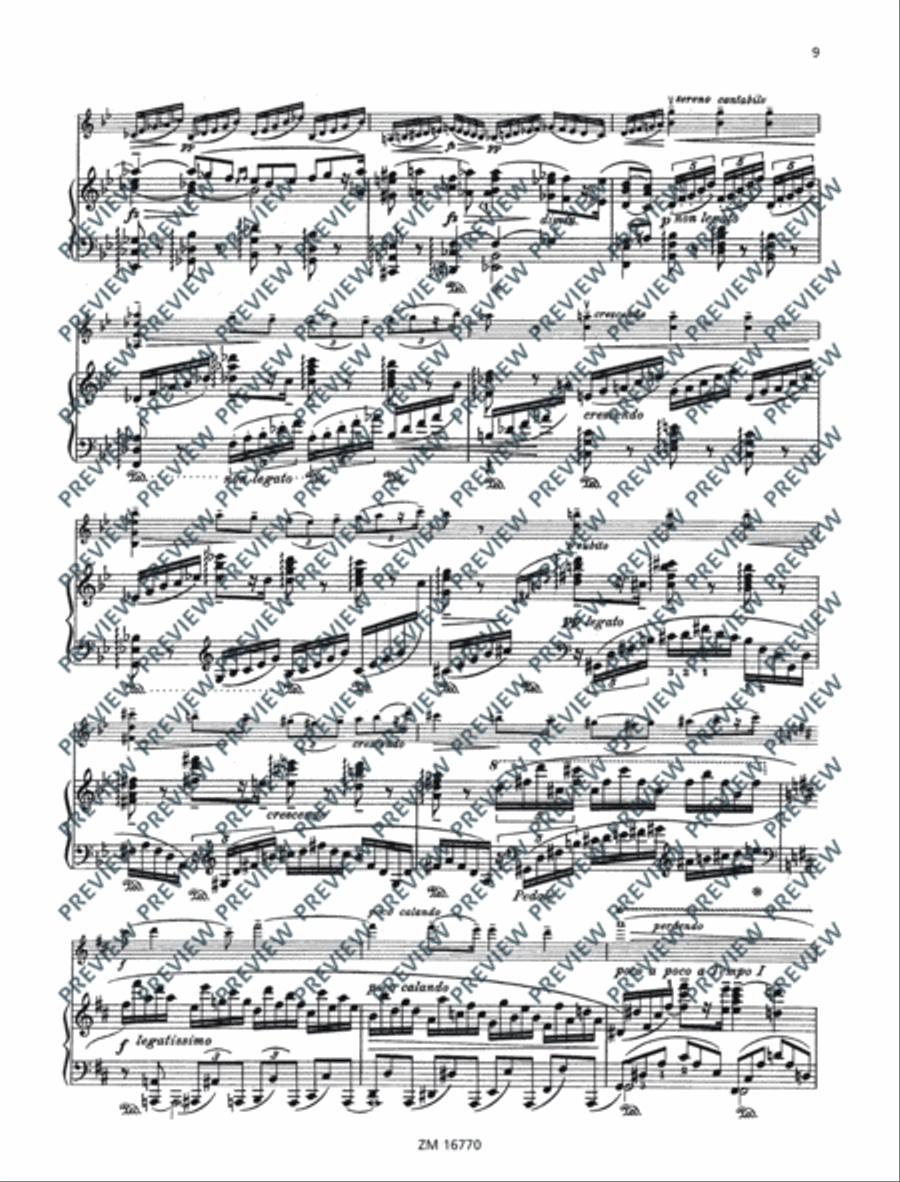 Sonata No. 2 G major Violin Solo scores gallery preview page 10