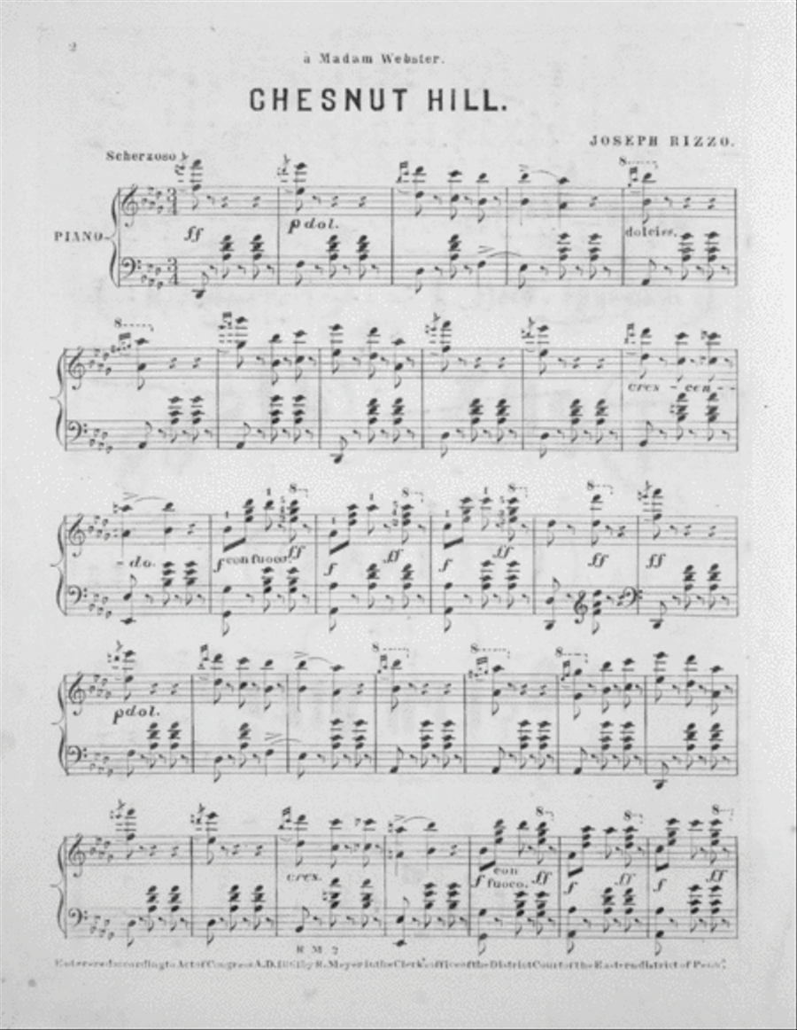 Deux Valses Pour le Piano Piano Solo scores gallery preview page 2