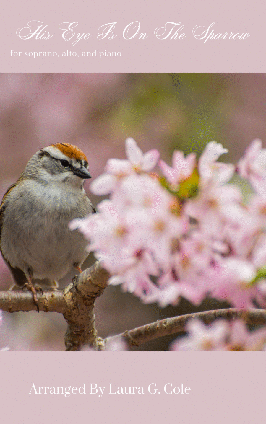 Book cover for His Eye Is On The Sparrow