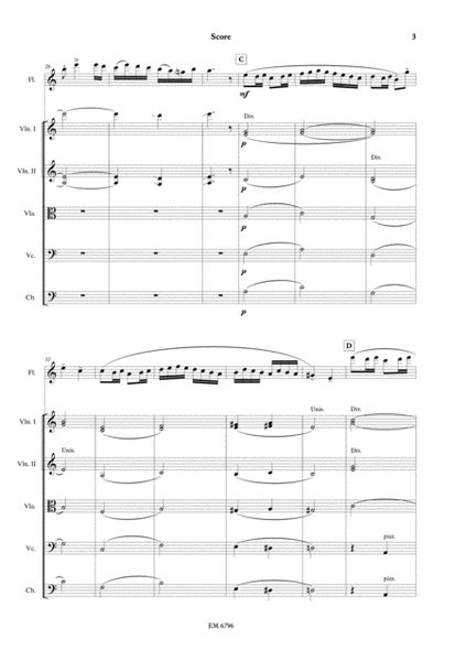 Badinage for Flute and Strings