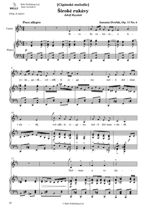 Book cover for Siroke rukavy, Op. 55 No. 6 (D Major)