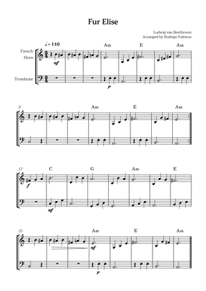 Fur Elise (for french horn and trombone)