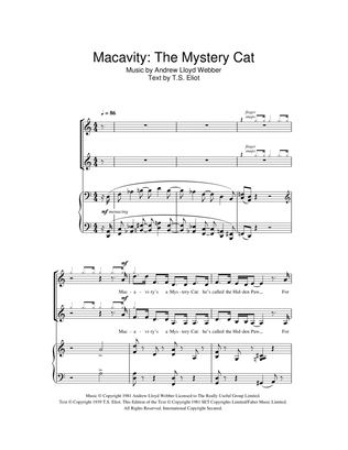 Book cover for Macavity: The Mystery Cat (from Cats)