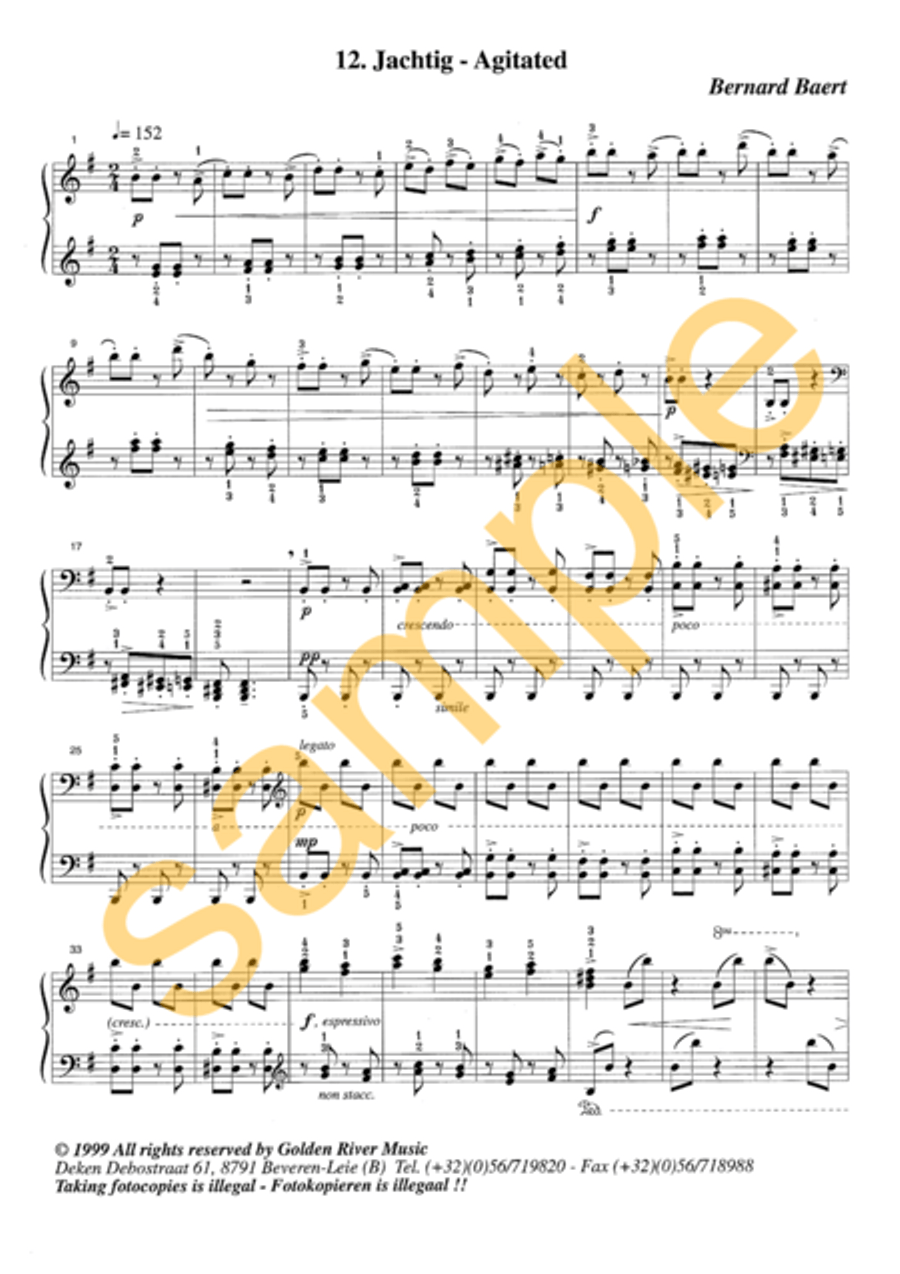 Affecten 7-12 for piano Piano Solo scores gallery preview page 9