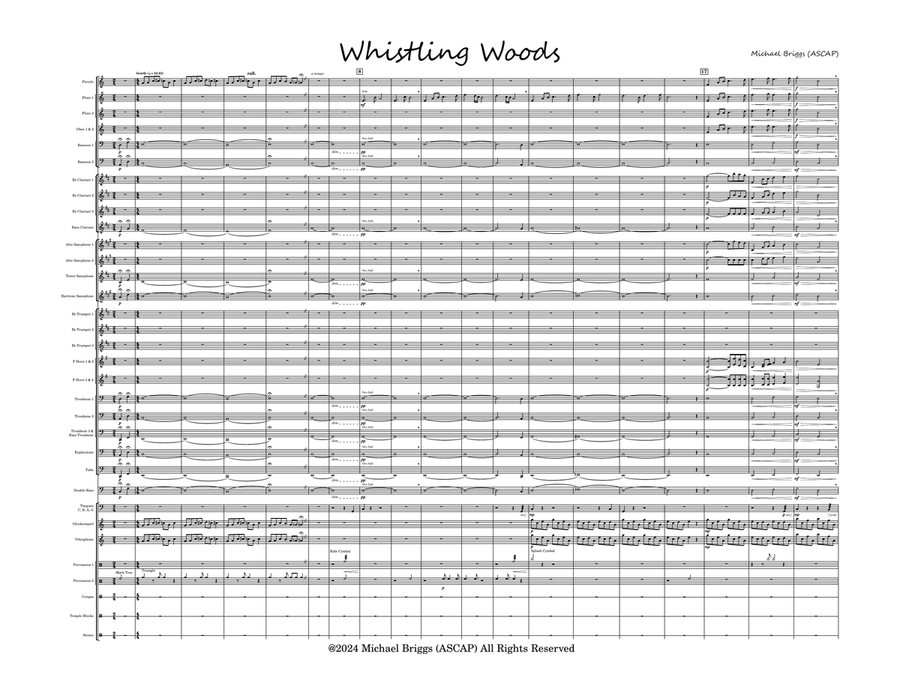 Whistling Woods Concert Band scores gallery preview page 2