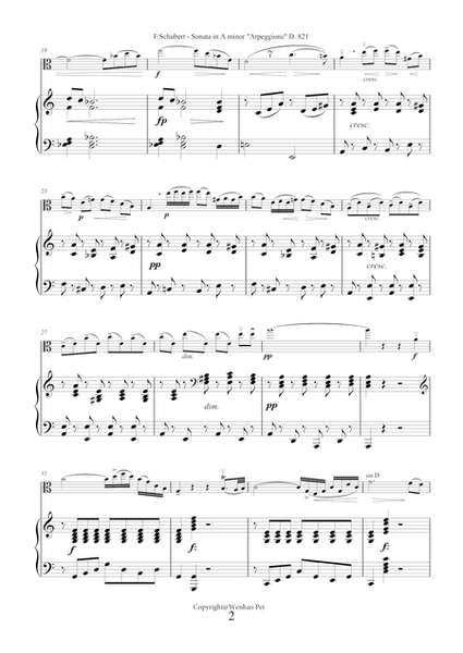 Sonata in A minor "Arpeggione" by Franz Schubert for viola and piano
