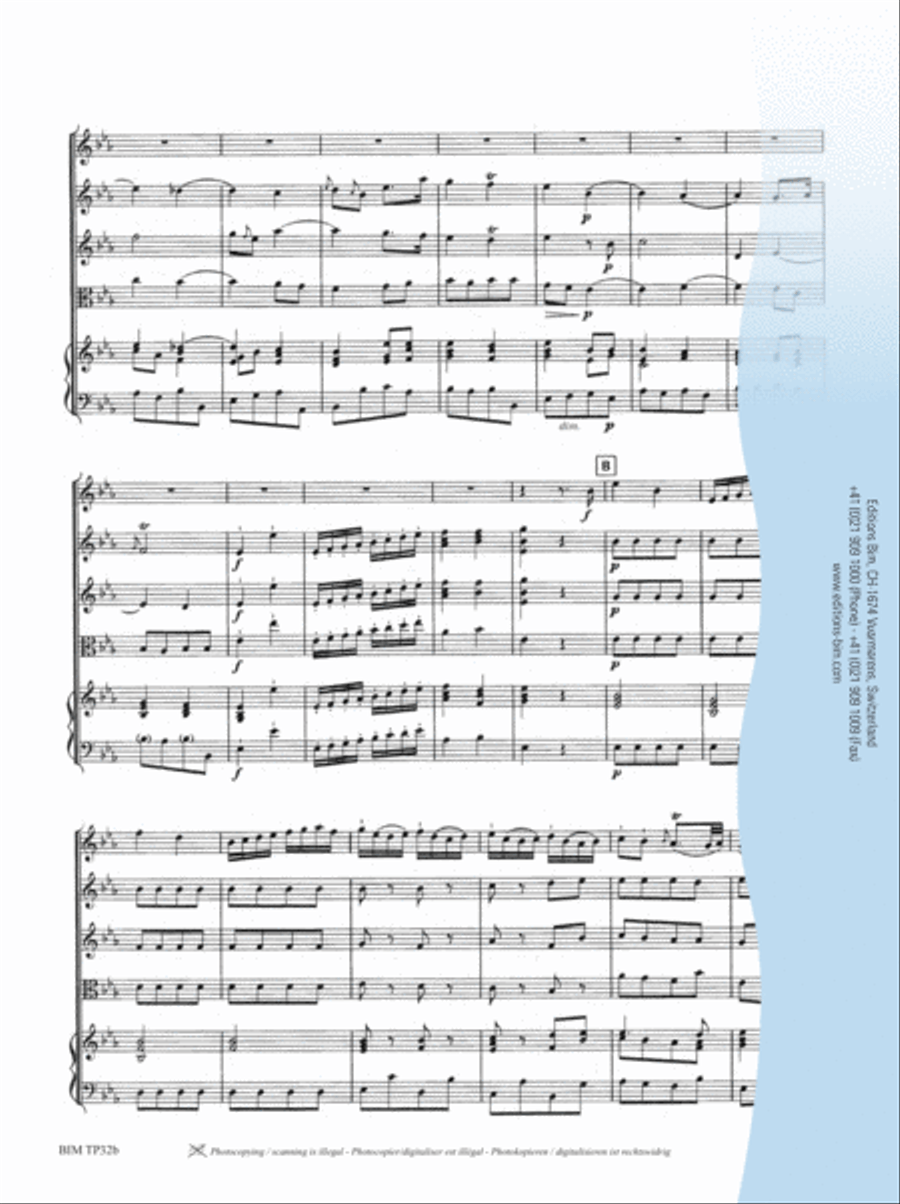 Concerto in Eb Major Concerto in Eb Major String Orchestra scores gallery preview page 4