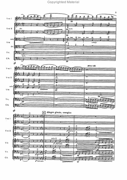Musik fur Streichorchester / muusika keelpillidele