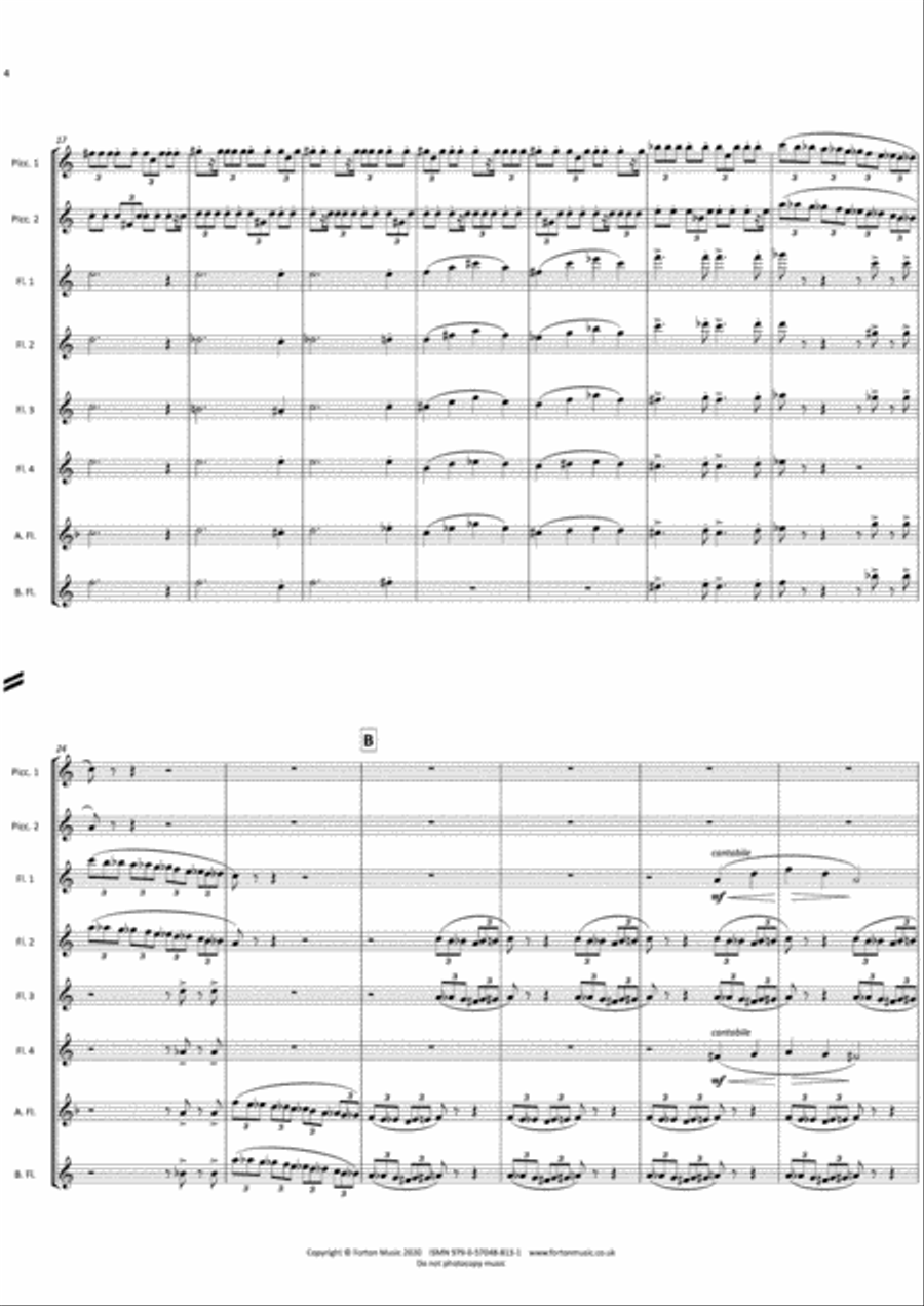 The Planets Re-Imagined The Planets Re-Imagined Flute scores gallery preview page 4