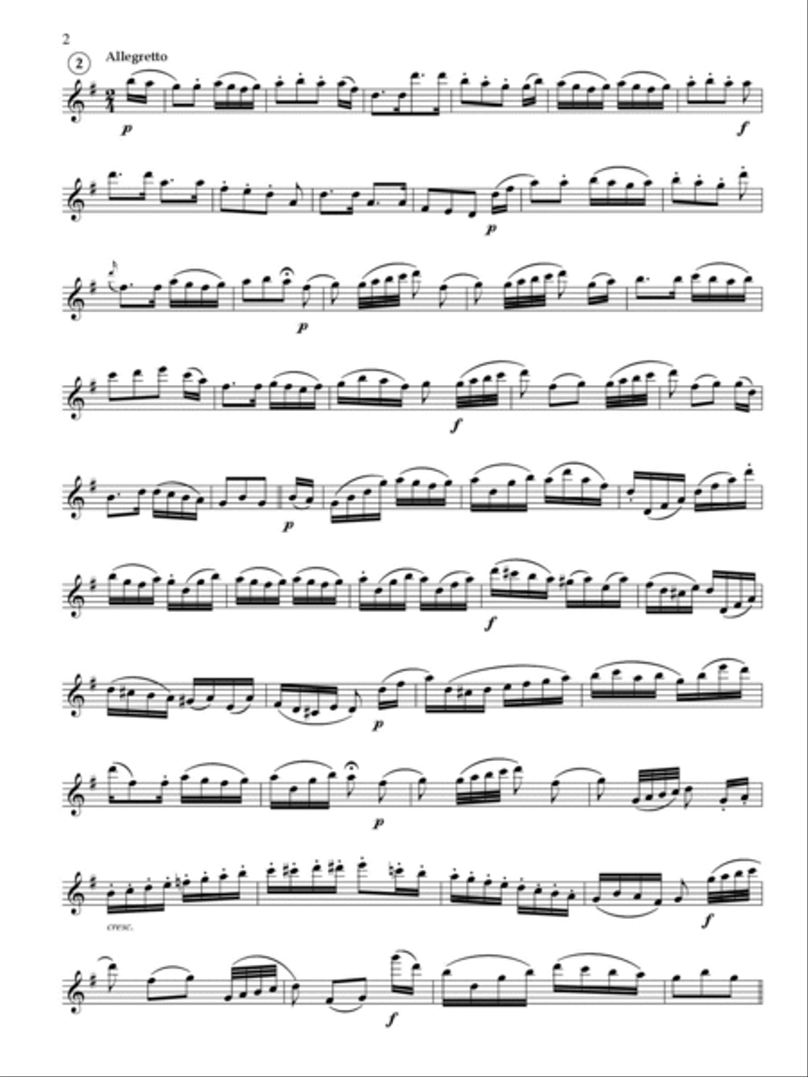 The Magic Flute, Potpourri pour la Flûte Flute Solo scores gallery preview page 3