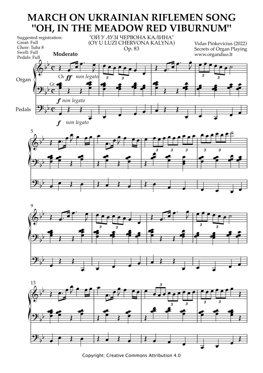 March on Ukrainian Riflemen Song 