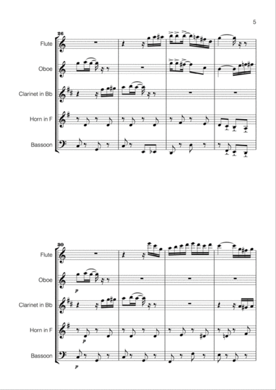 Scott Joplin Suite for Wind Quintet Woodwind Quintet scores gallery preview page 5