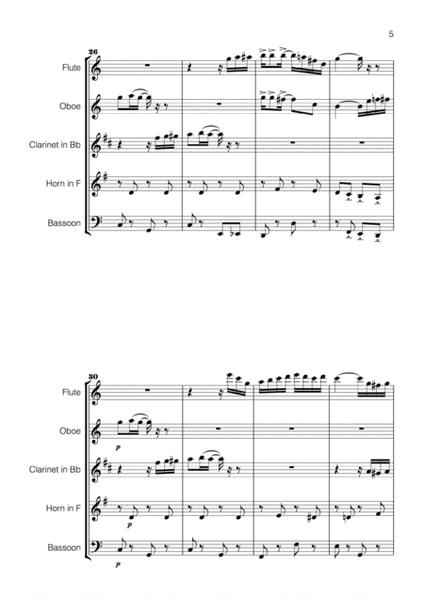 Scott Joplin Suite for Wind Quintet image number null