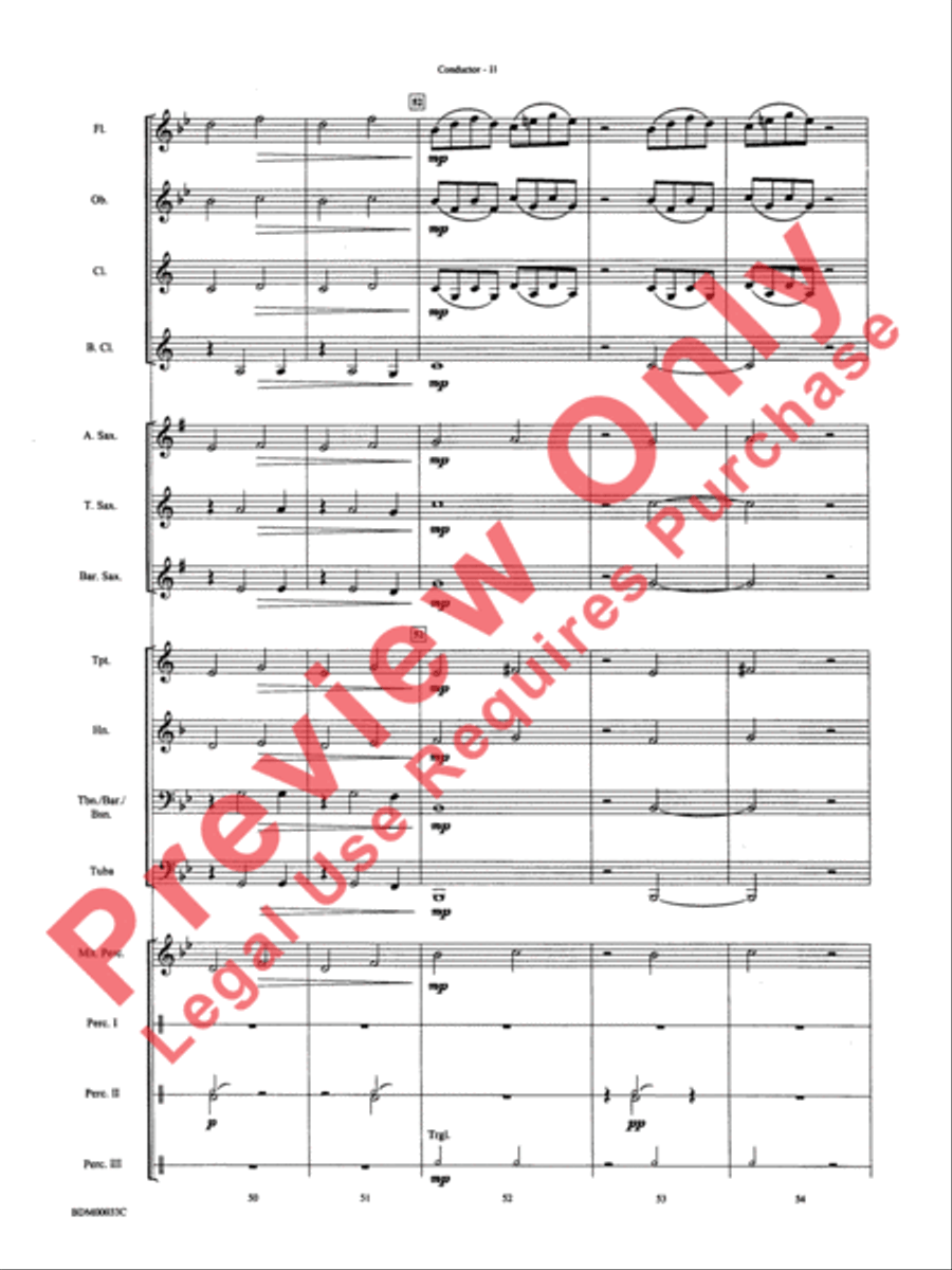 Thunderstorms Concert Band scores gallery preview page 14