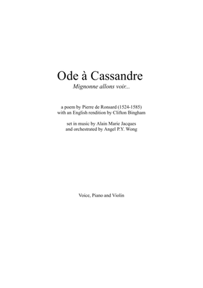 Ode à Cassandre (voice, guitar & violin)