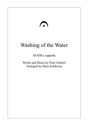 Book cover for Washing Of The Water