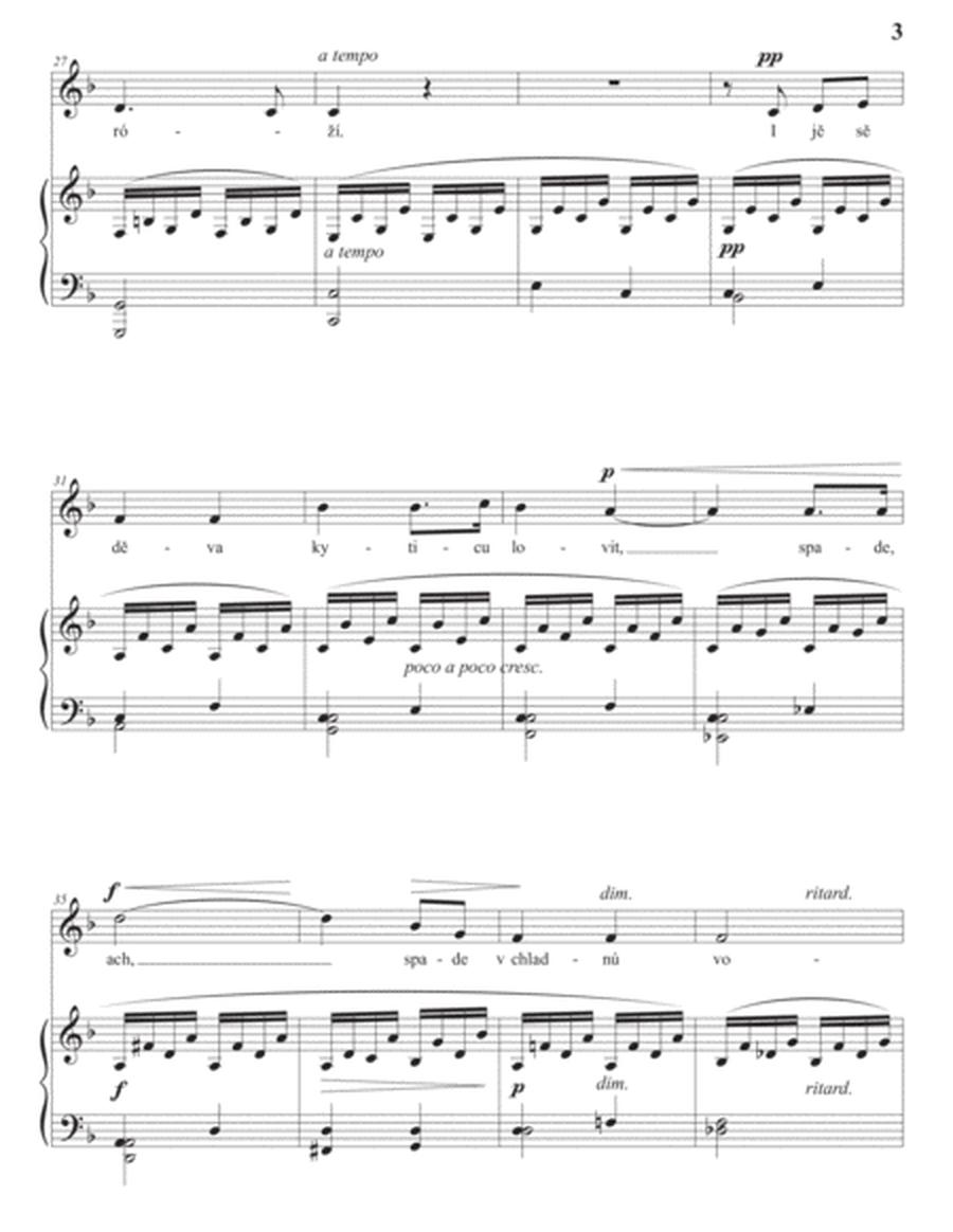DVORÁK: Kytice, Op. 7 no. 5 (transposed to F major)