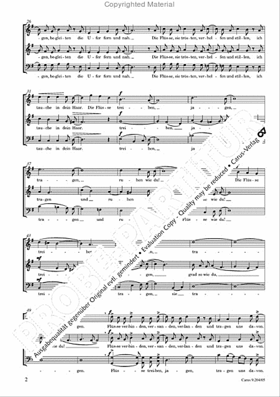 Flusse wie du 3-Part scores gallery preview page 3