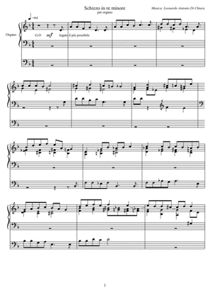 Book cover for Schizzo in re minore per organo