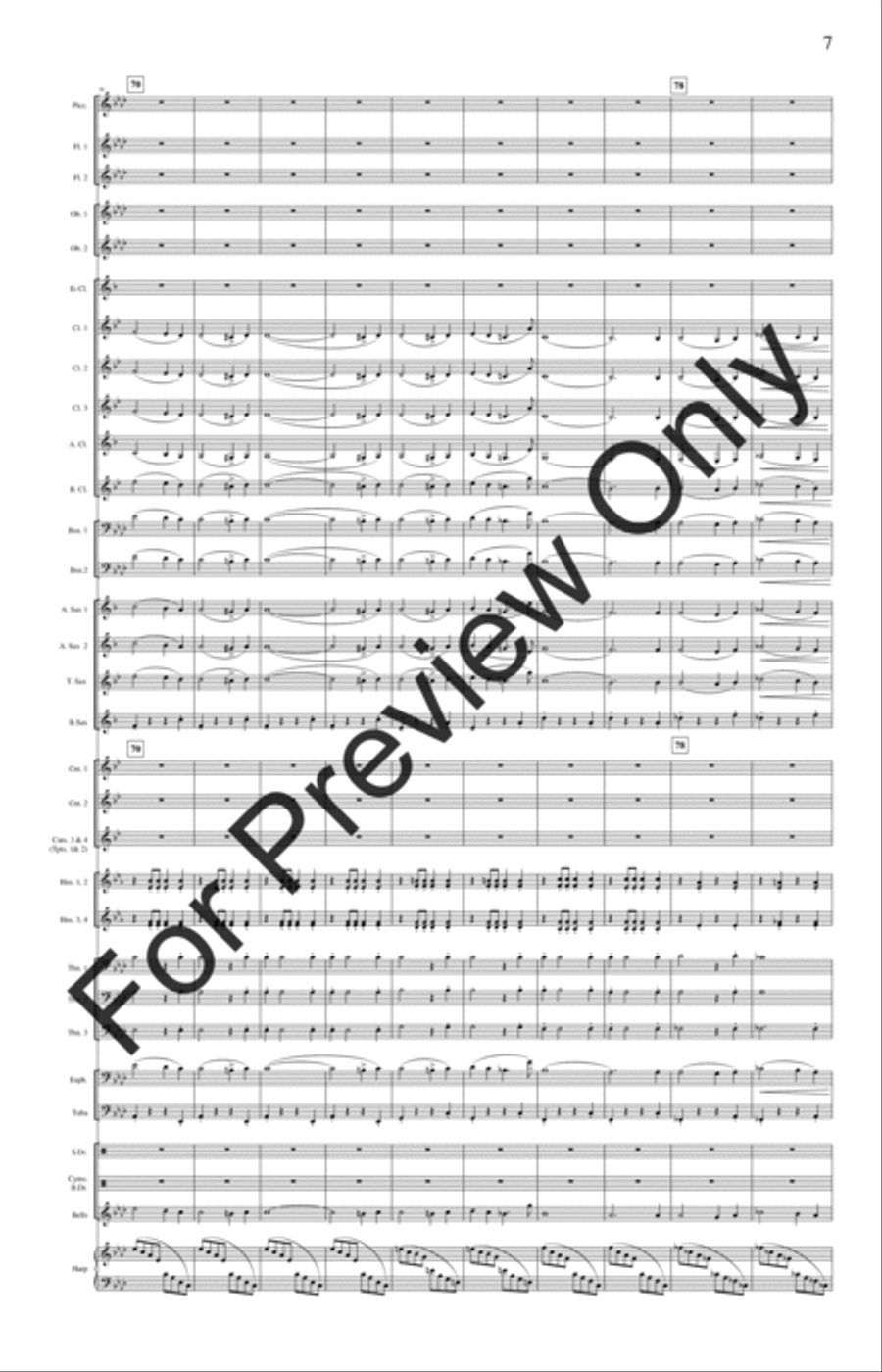 The Stars and Stripes Forever Concert Band scores gallery preview page 10