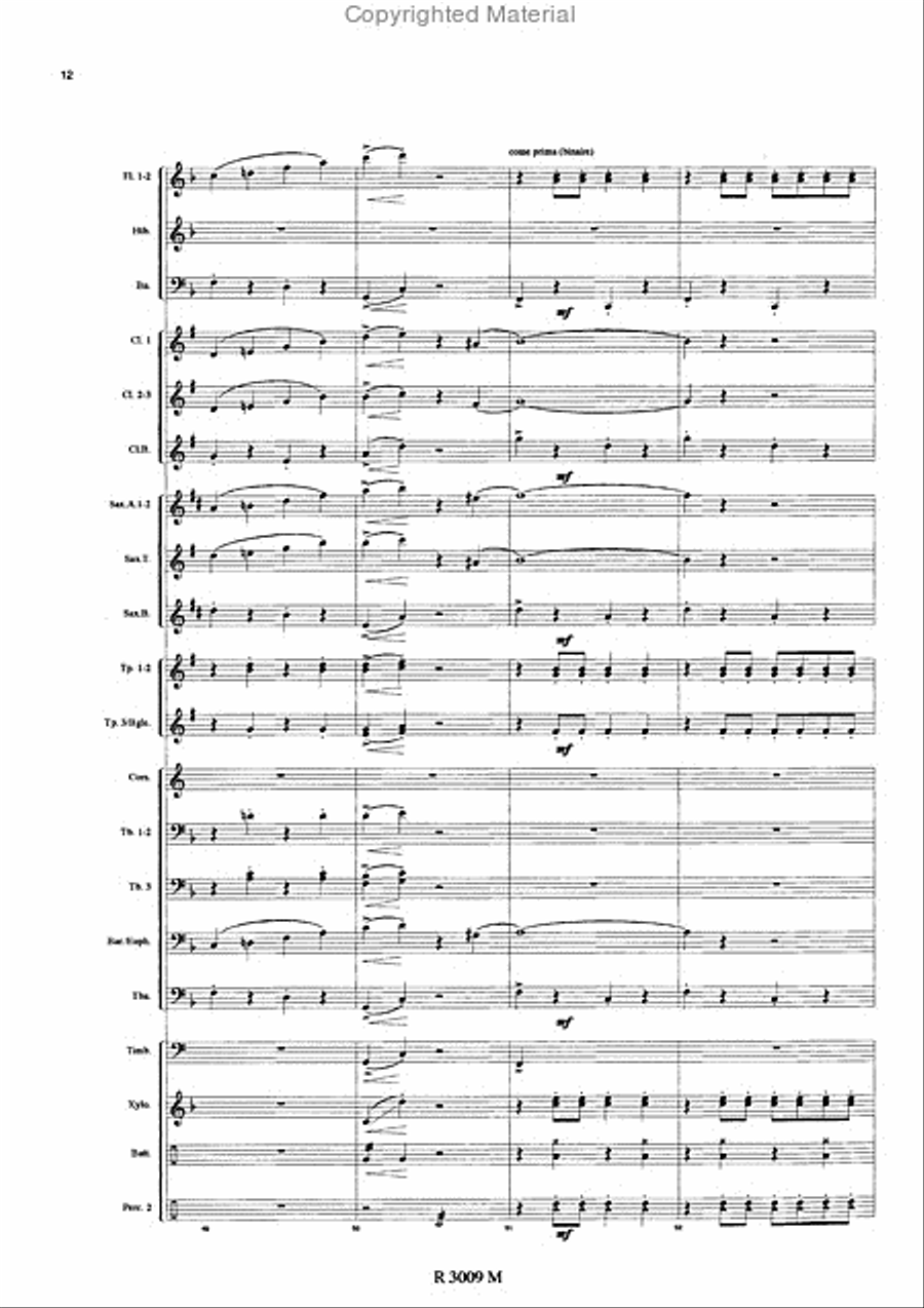 Brigades du Tigre Concert Band scores gallery preview page 13