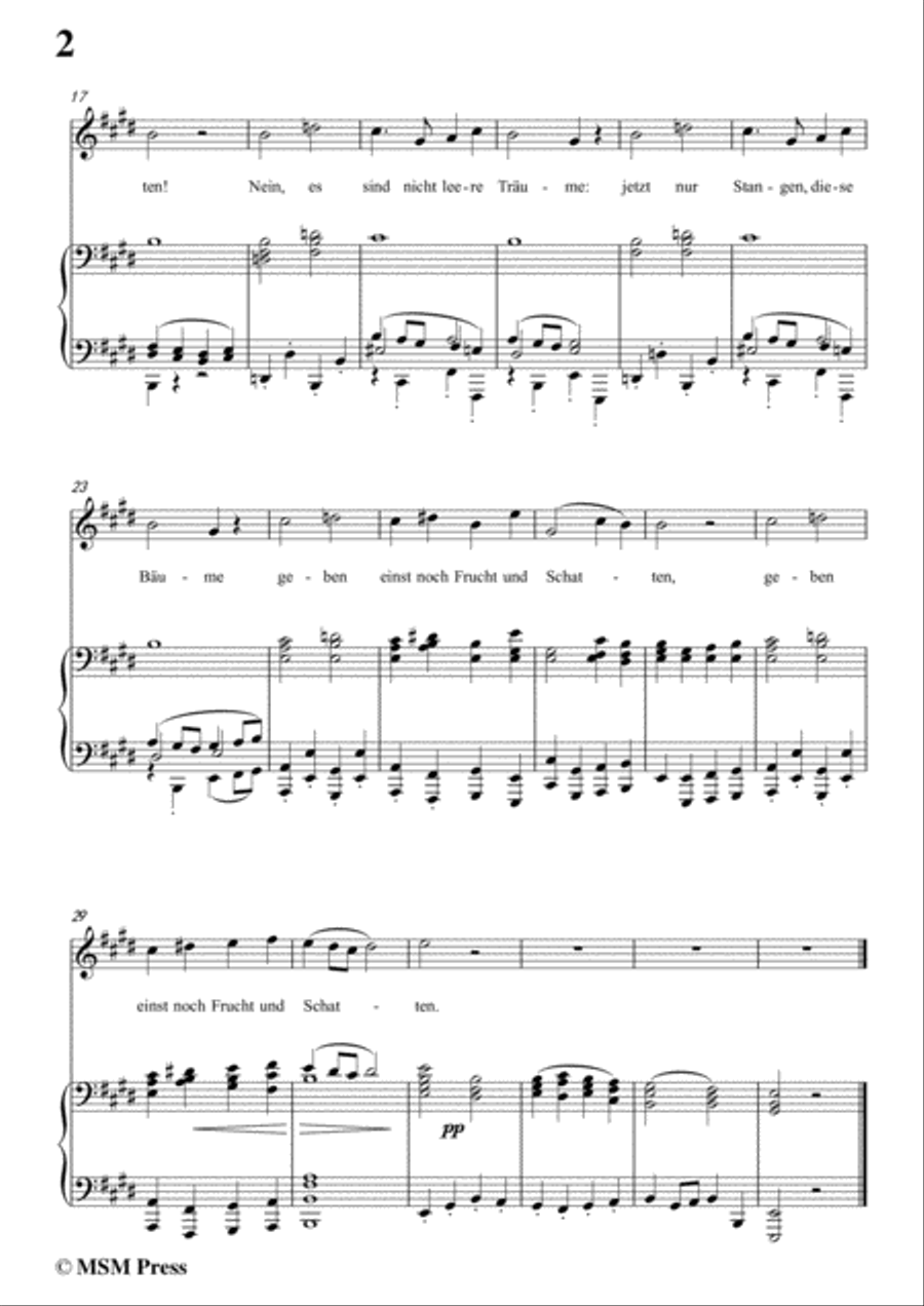 Schubert-Hoffnung,in E Major,for Voice&Piano Voice scores gallery preview page 4