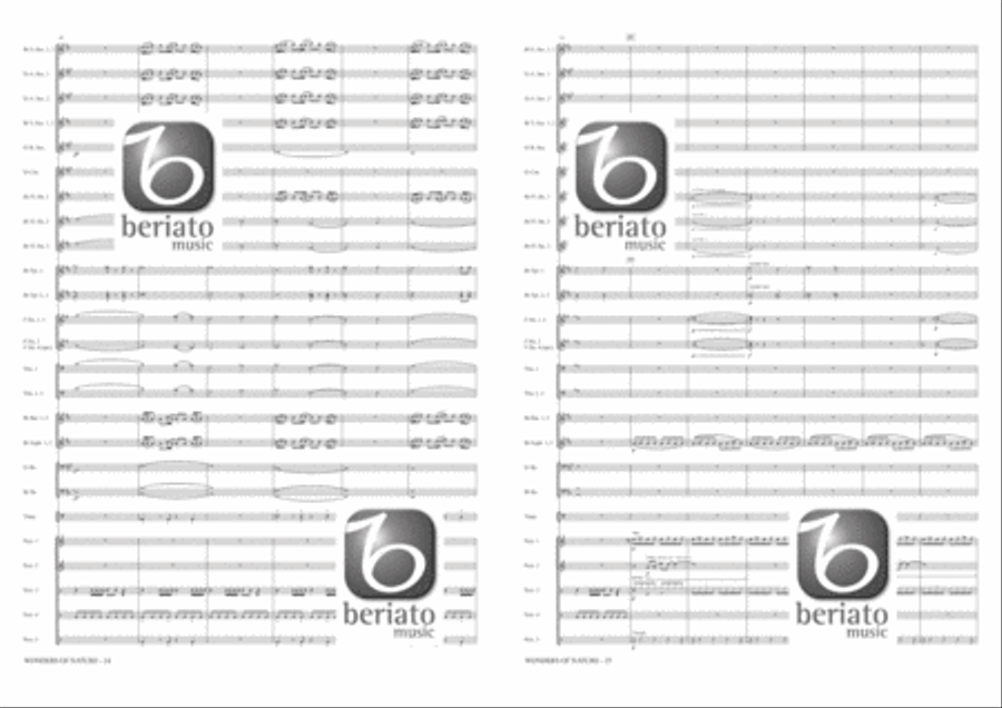 Wonders of Nature Fanfare Band scores gallery preview page 11