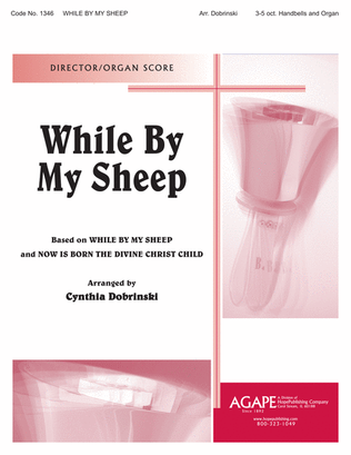 Book cover for While by My Sheep