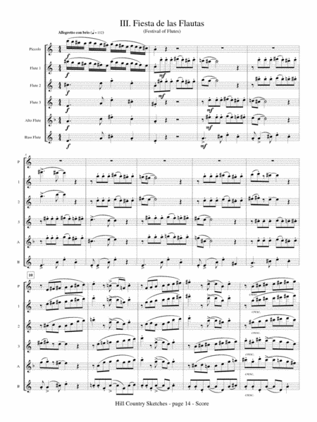 Hill Country Sketches for Flute Choir