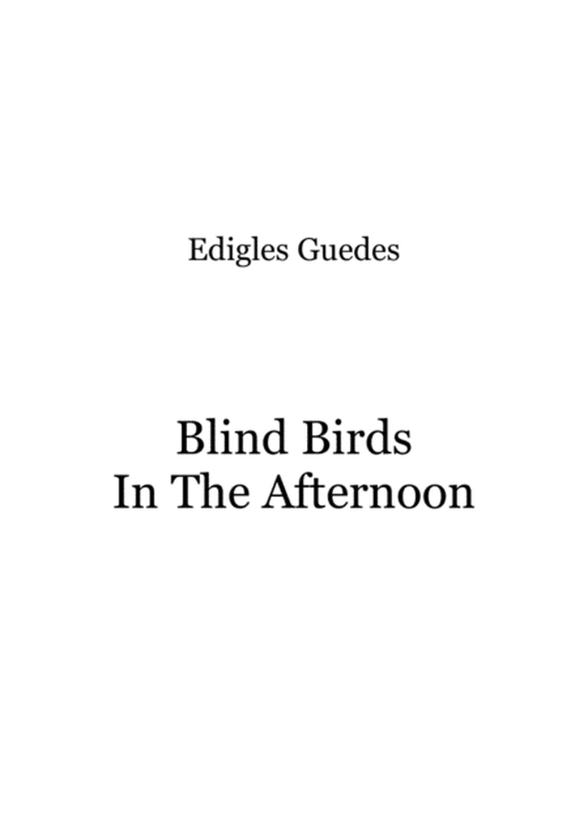 Blind Birds In The Afternoon image number null